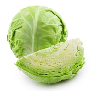 Cabbage White