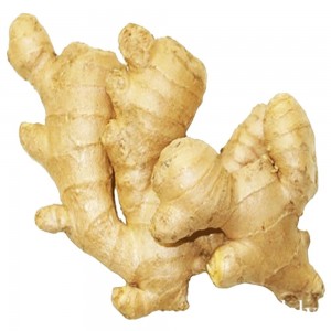 Ginger. زنجبيل