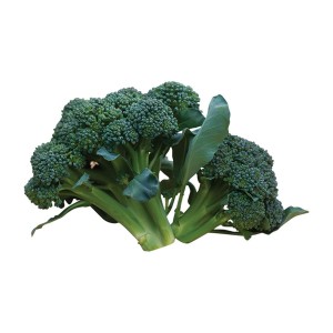 1642585907UxAocgwIdGCzT2OVeIumcsGC576fHBcNxaI74LeP.jpeg