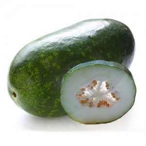 White Pumpkin