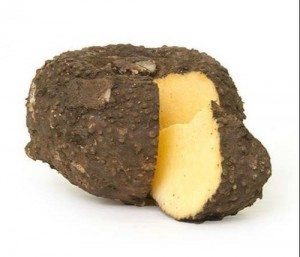 Yam India