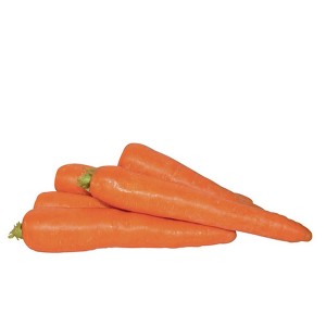 Carrot