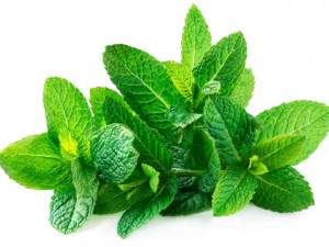 Mint Leaves 100 gm