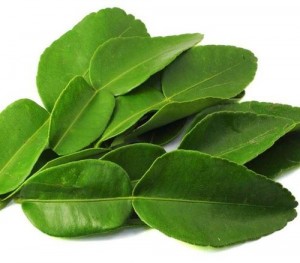 Lemon Leaves