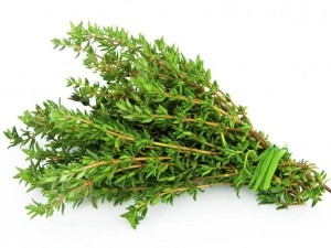 Thyme
