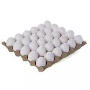 Egg Jordan