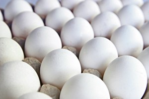 Egg Turkey