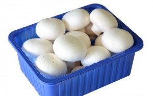 Mushroom White-8 Pcs