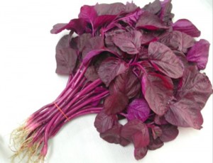 Spinach Red