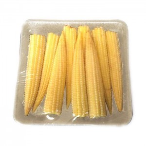 Baby Corn