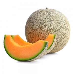 Rock Melon