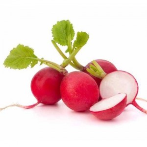 Red Radish