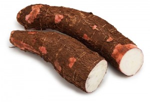 Tapioca
