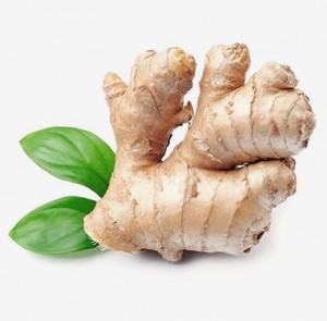 Ginger India