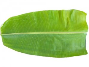 Banana Leaves