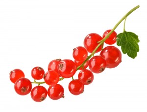 Red Current *125gm