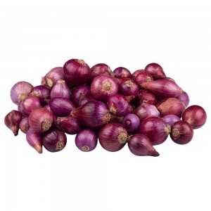 Onion Shallots