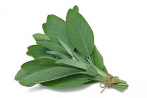 Sage Holland * | اوراق الميرمية 100 gm