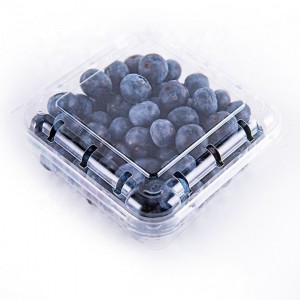 Blueberry