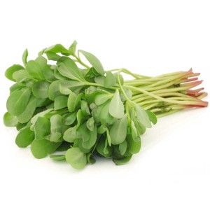 Barbeer Leaves