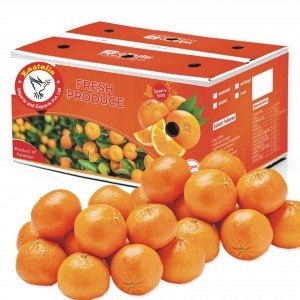 Mandarin Pakistan