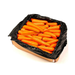 Carrot Cartoon